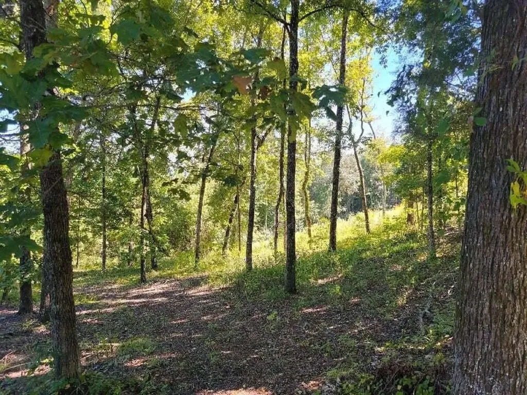 272 Spruce Drive Spring City TN 37381