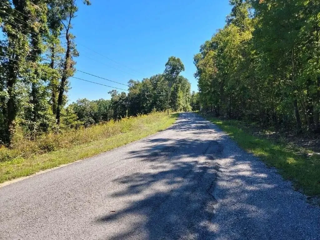 272 Spruce Drive Spring City TN 37381