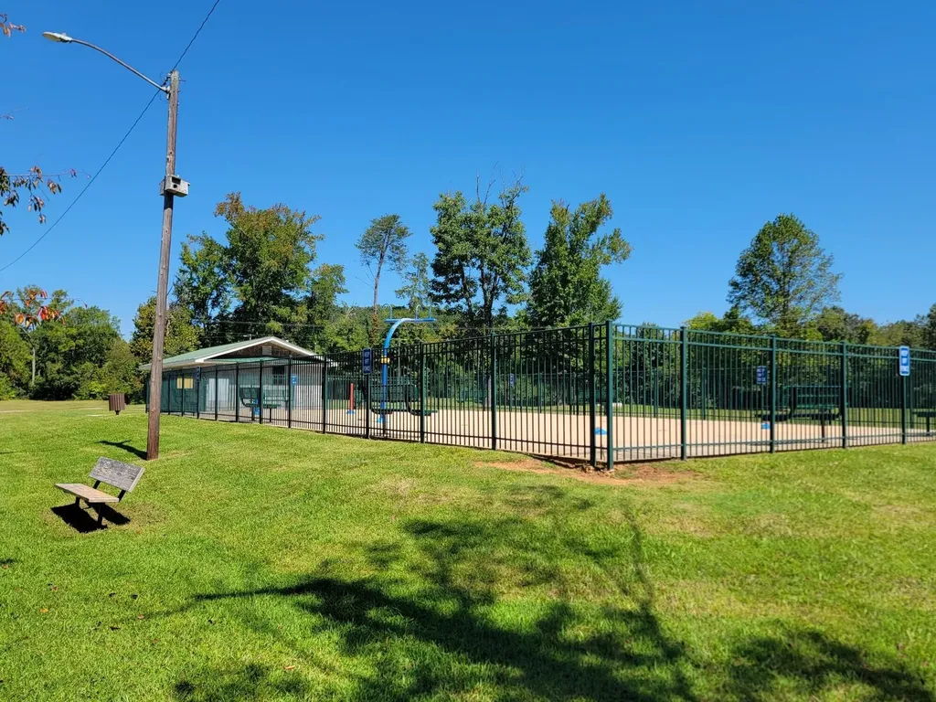 161 S Hillcrest Drive Spring City TN 37381