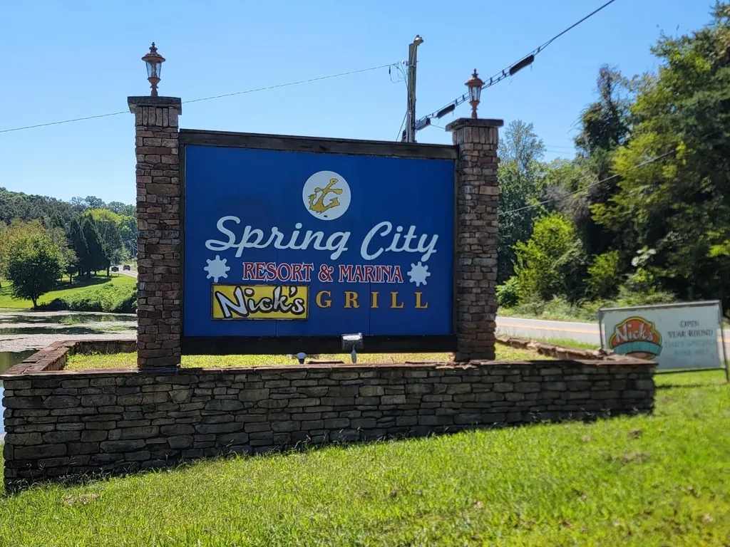 161 S Hillcrest Drive Spring City TN 37381