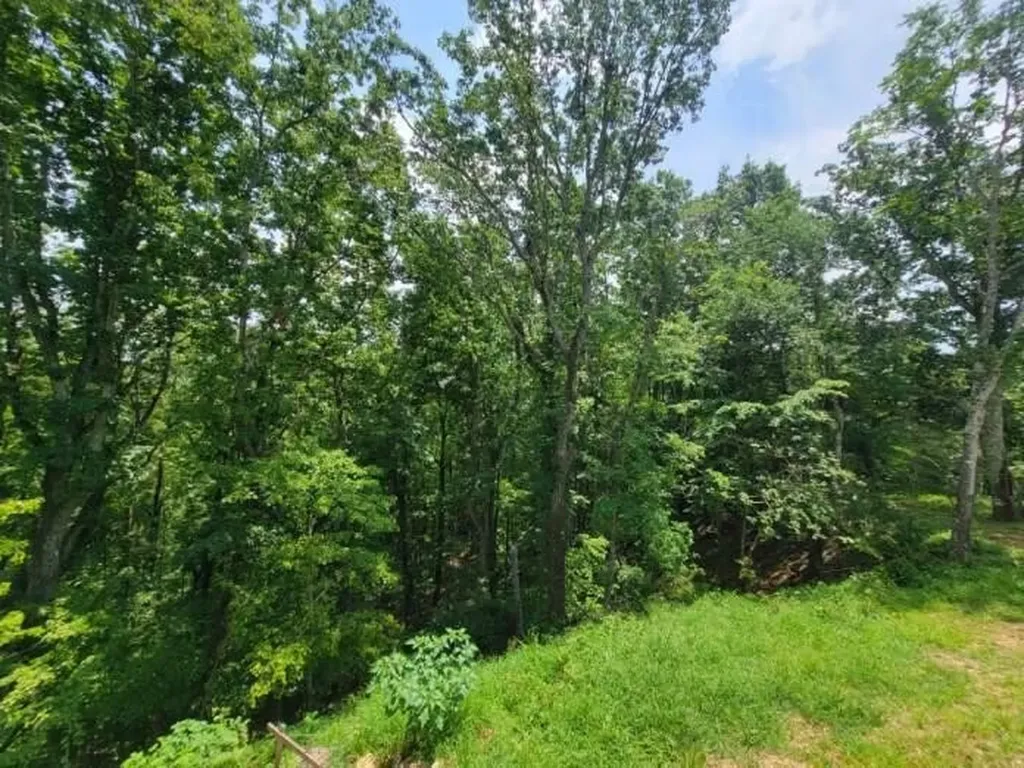 140 Mary Brown Lane Rockwood TN 37854