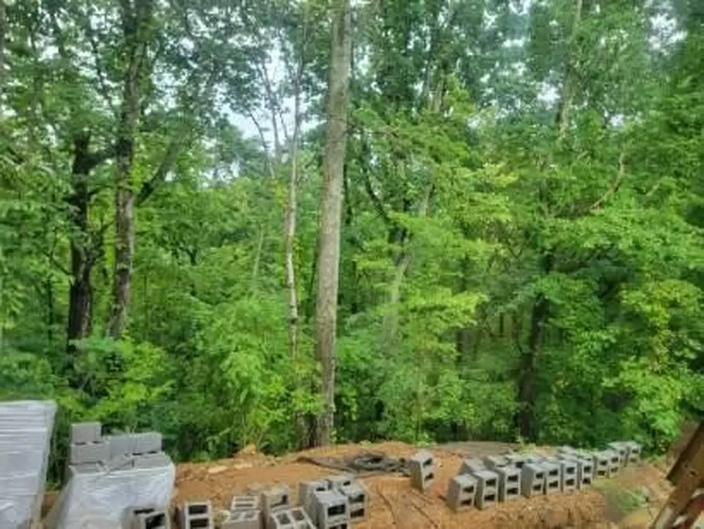 140 Mary Brown Lane Rockwood TN 37854