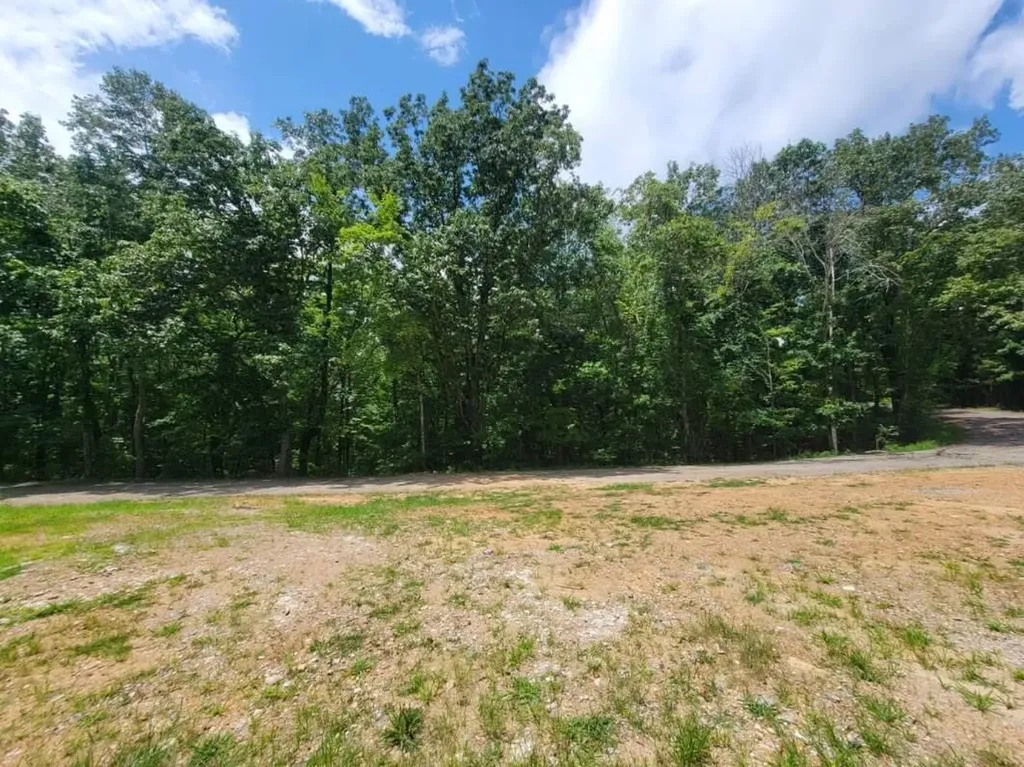 140 Mary Brown Lane Rockwood TN 37854
