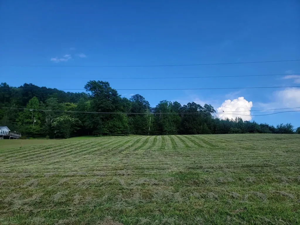 33 Hinch Street Spring City TN 37381