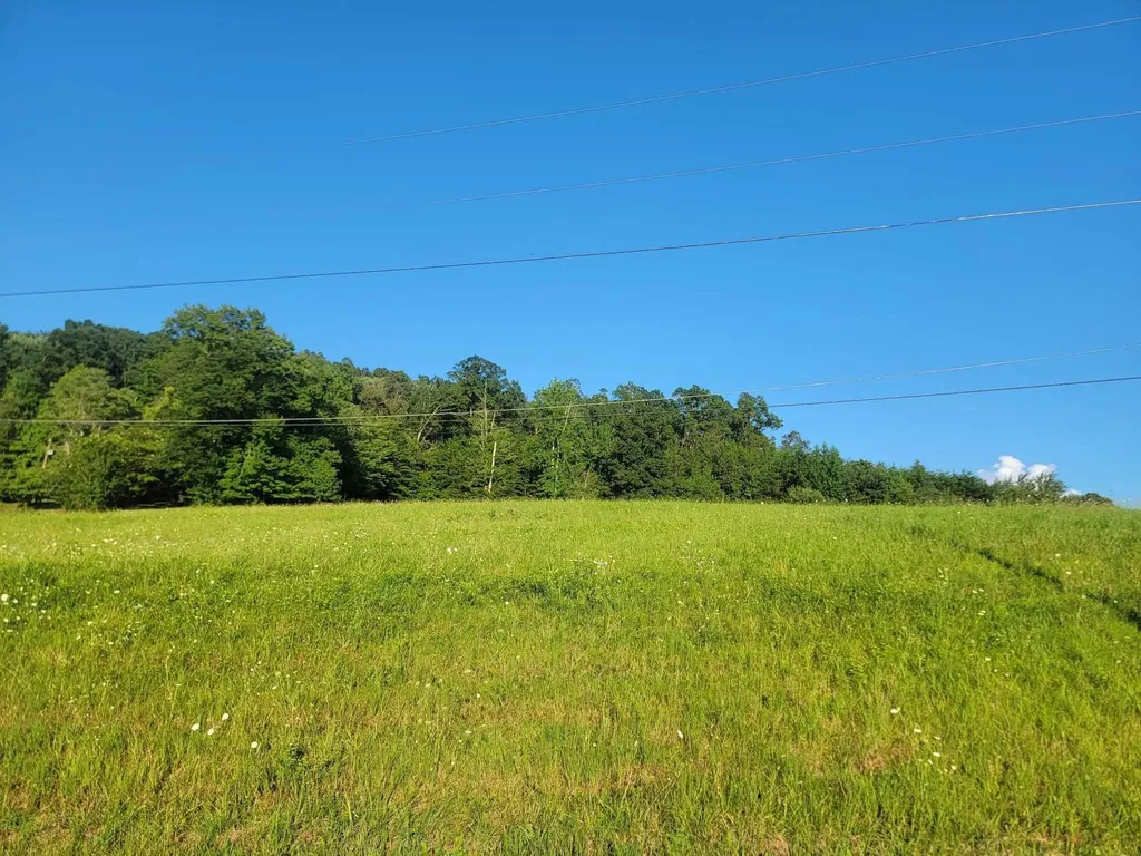 33 Hinch Street Spring City TN 37381