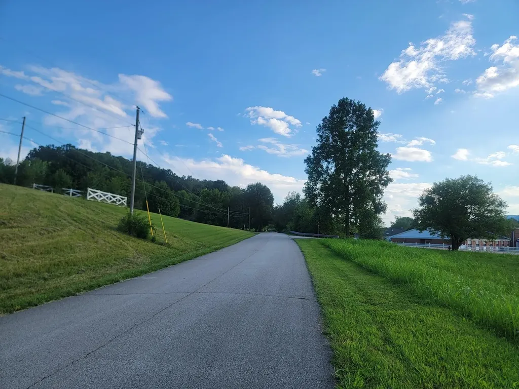 33 Hinch Street Spring City TN 37381