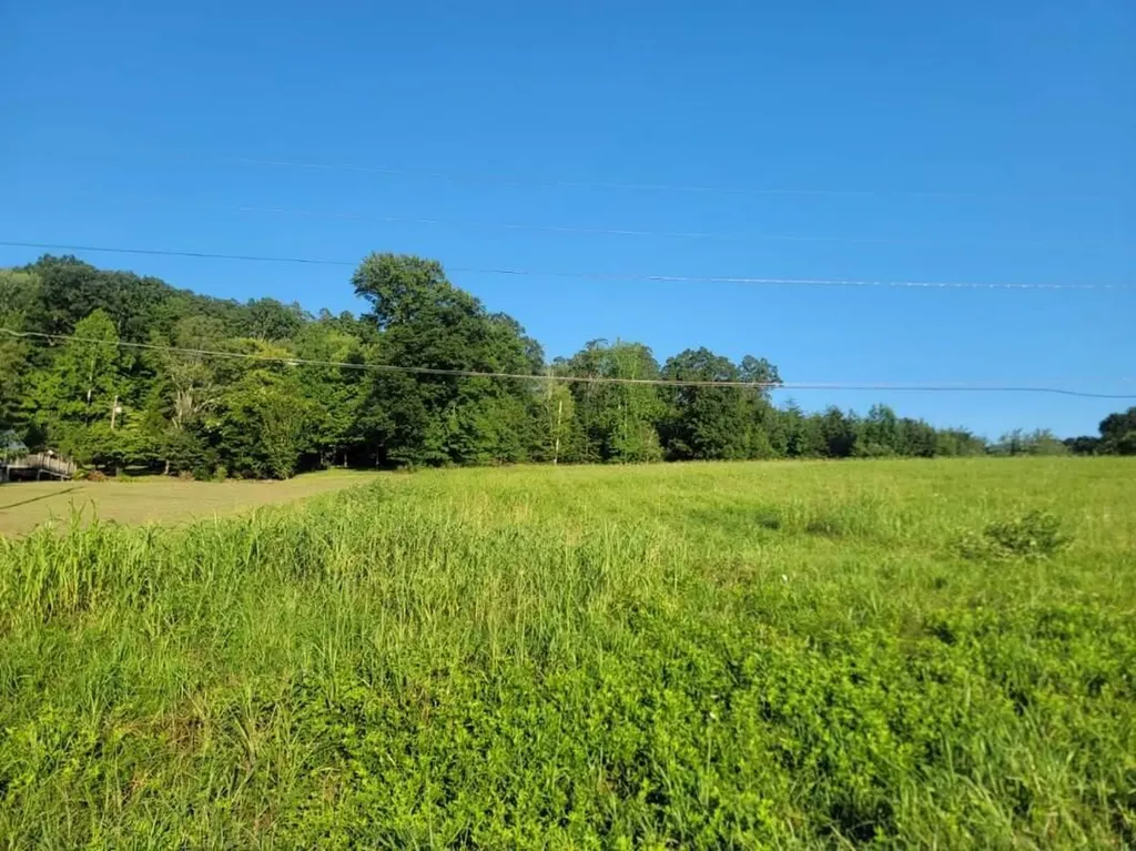 33 Hinch Street Spring City TN 37381