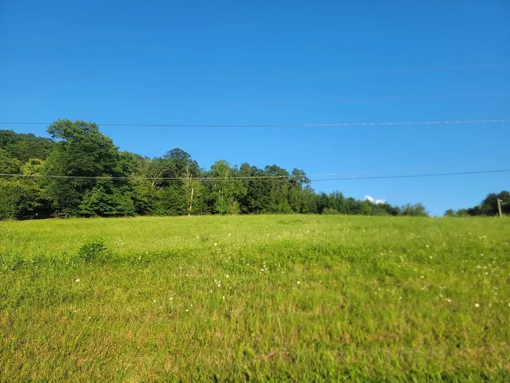 33 Hinch Street Spring City TN 37381