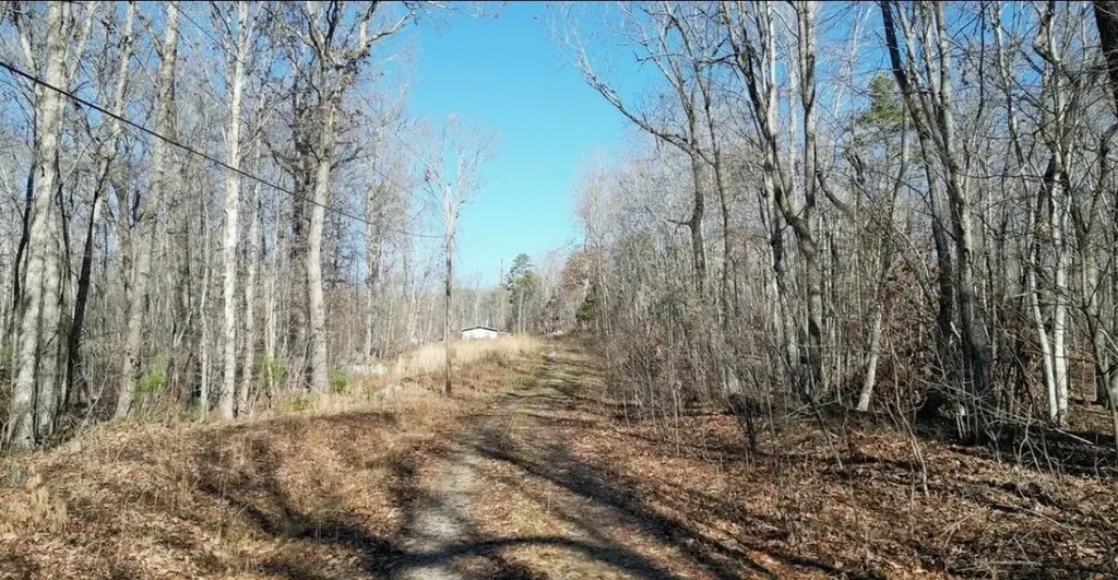 69 W Log Road, W Spring City TN 37381