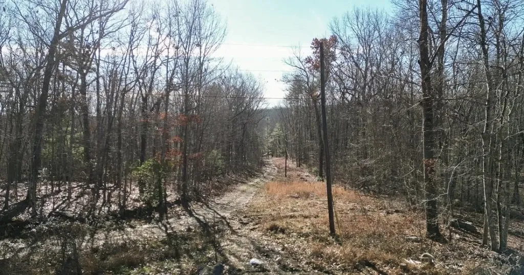 69 W Log Road, W Spring City TN 37381