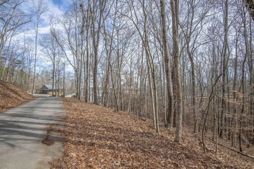0 Sunset Court Spring City TN 37381