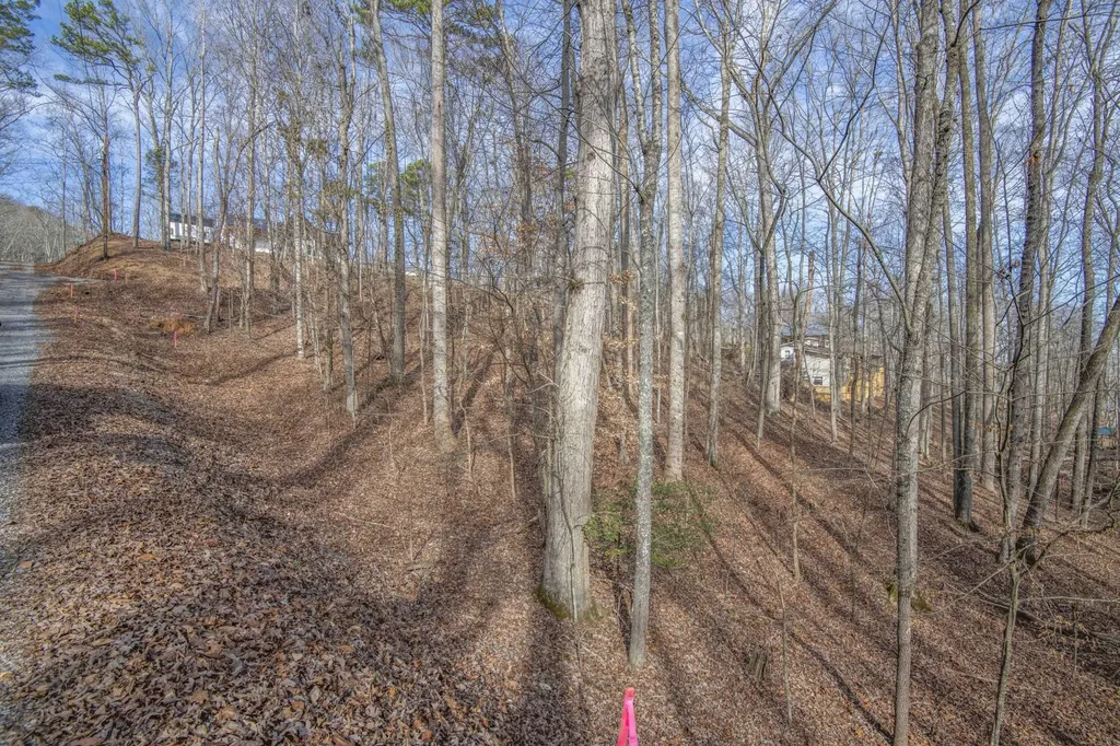 0 Sunset Court Spring City TN 37381