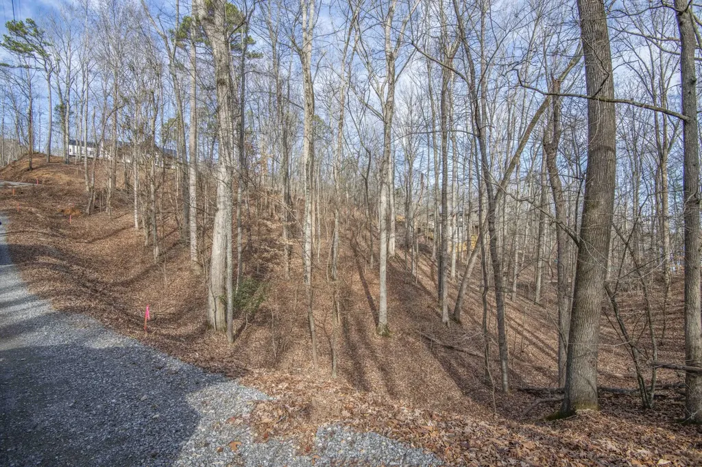 0 Sunset Court Spring City TN 37381