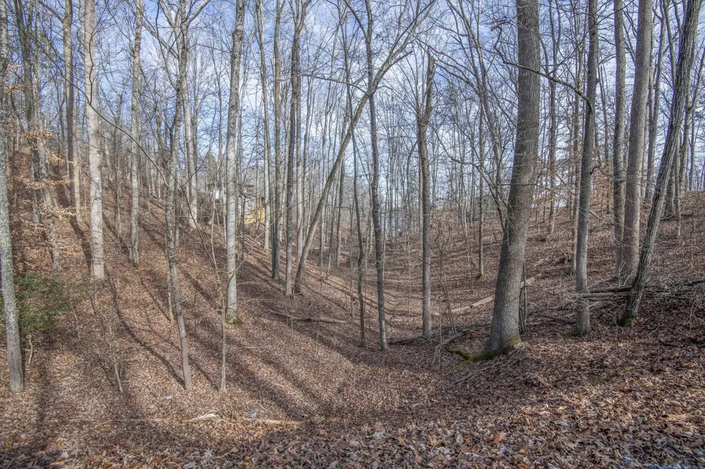 0 Sunset Court Spring City TN 37381