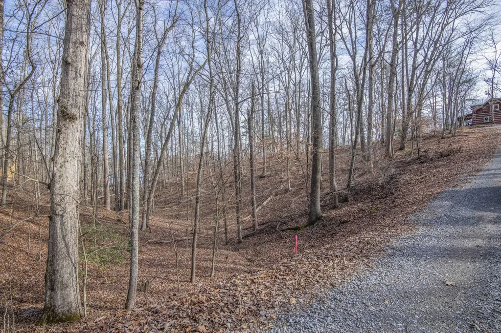 0 Sunset Court Spring City TN 37381