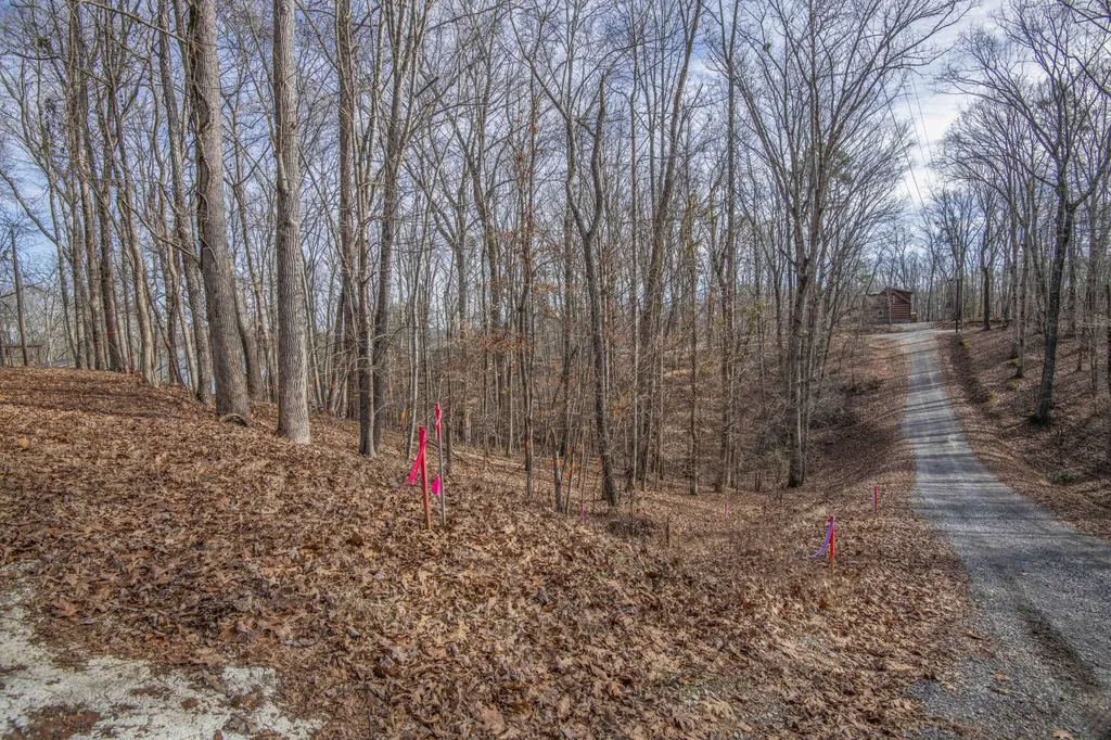 0 Sunset Court Spring City TN 37381