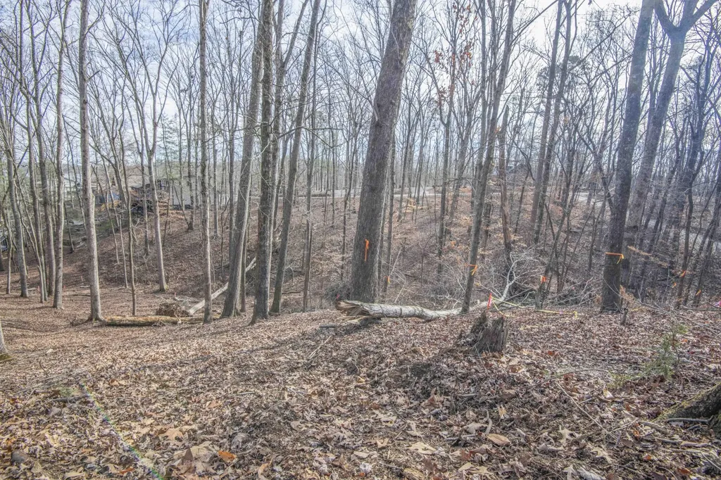 0 Sunset Court Spring City TN 37381