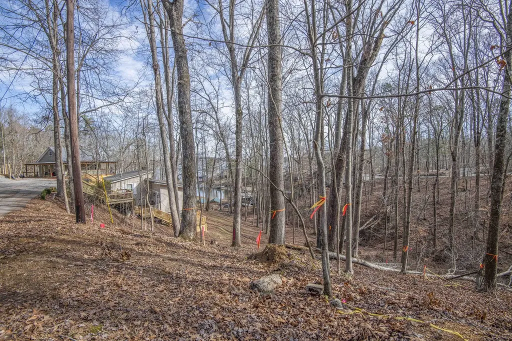 0 Sunset Court Spring City TN 37381