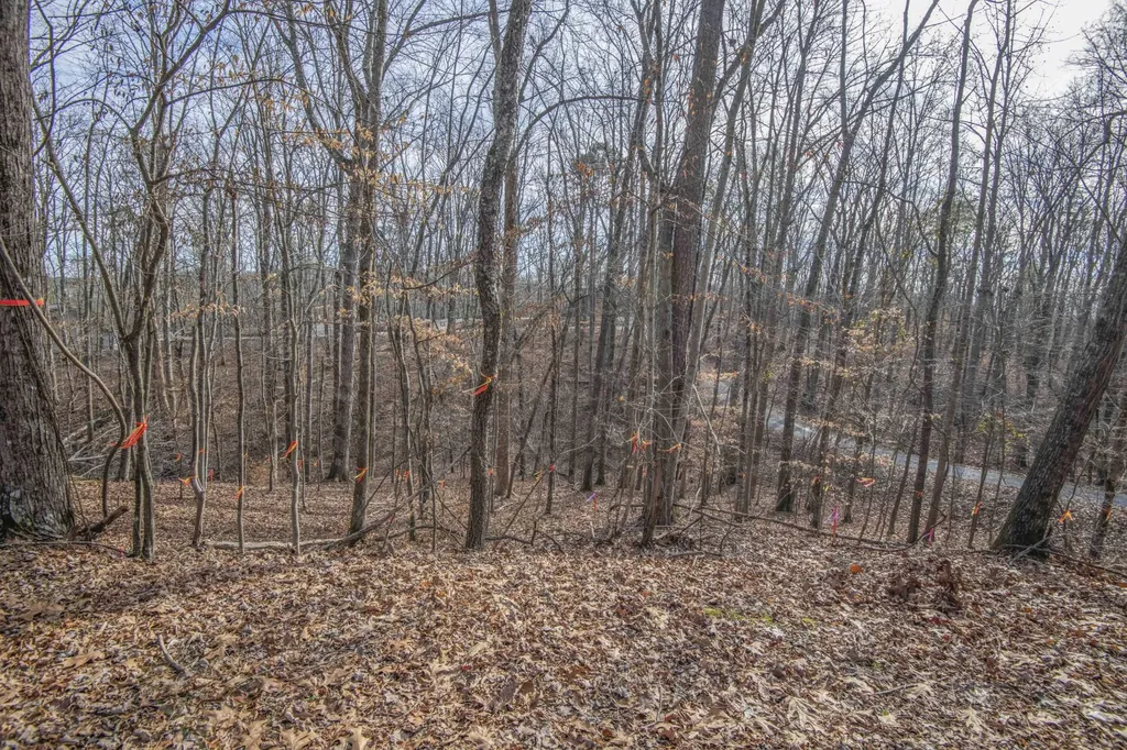 0 Sunset Court Spring City TN 37381