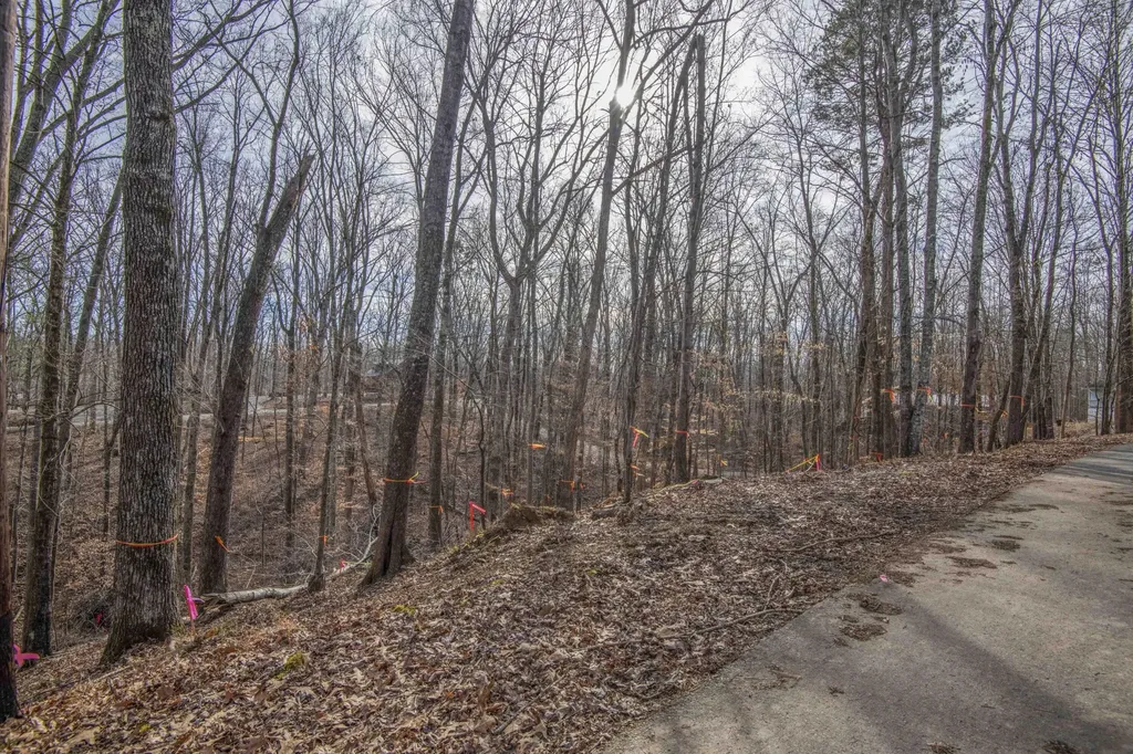 0 Sunset Court Spring City TN 37381
