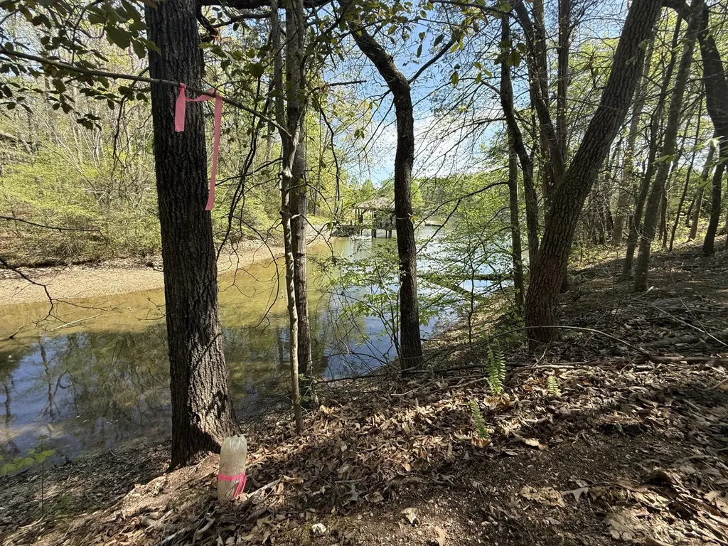 23 Phillips Drive Rockwood TN 37854