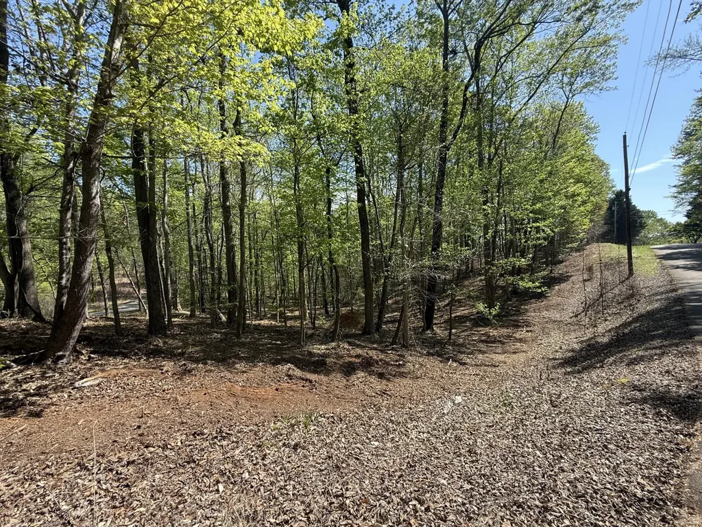 23 Phillips Drive Rockwood TN 37854