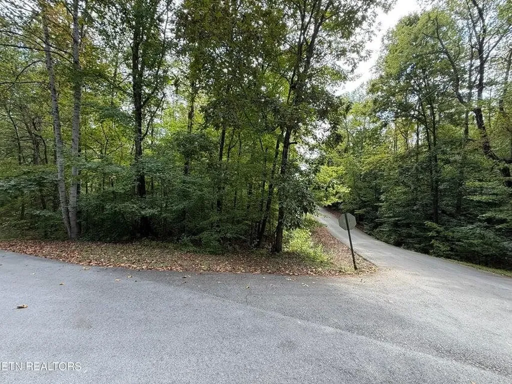 23 Phillips Drive Rockwood TN 37854