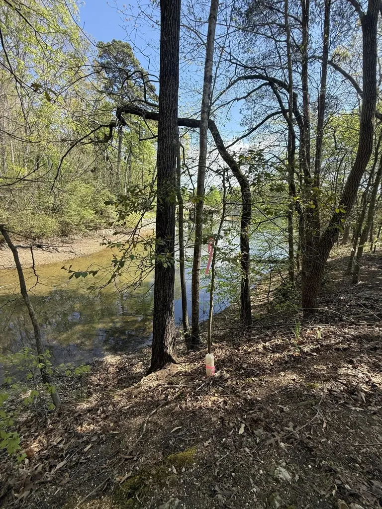 23 Phillips Drive Rockwood TN 37854