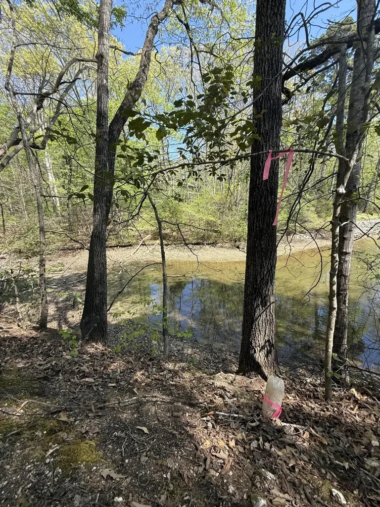 23 Phillips Drive Rockwood TN 37854