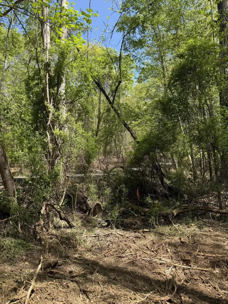 23 Phillips Drive Rockwood TN 37854