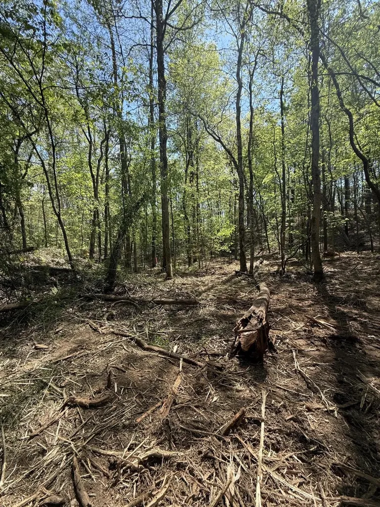 23 Phillips Drive Rockwood TN 37854