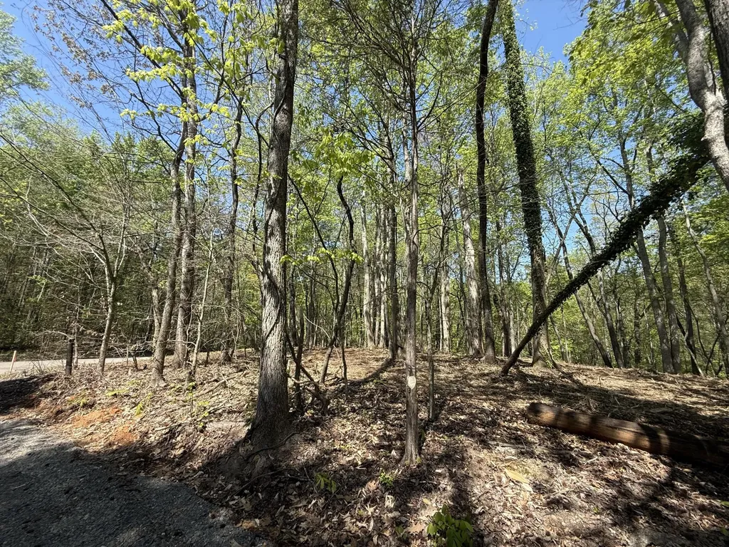 23 Phillips Drive Rockwood TN 37854