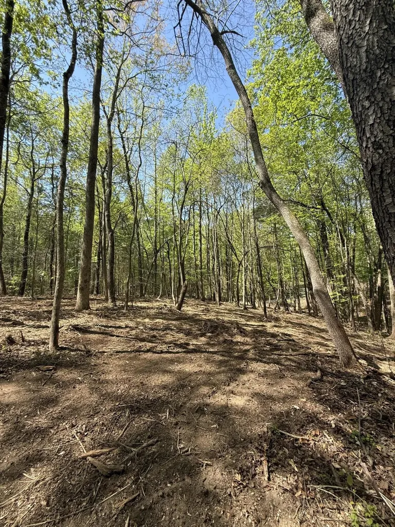 23 Phillips Drive Rockwood TN 37854