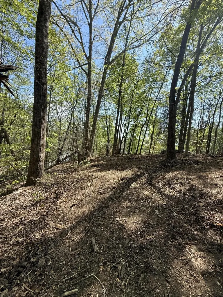 23 Phillips Drive Rockwood TN 37854