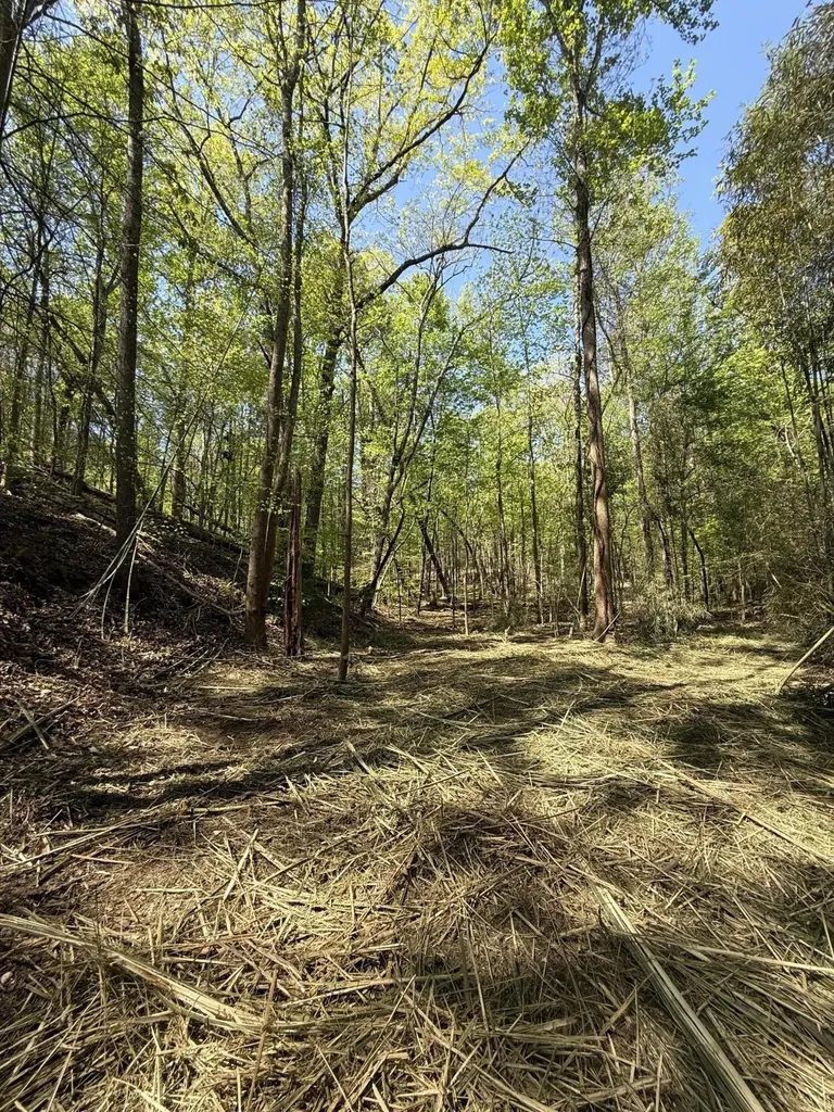 23 Phillips Drive Rockwood TN 37854