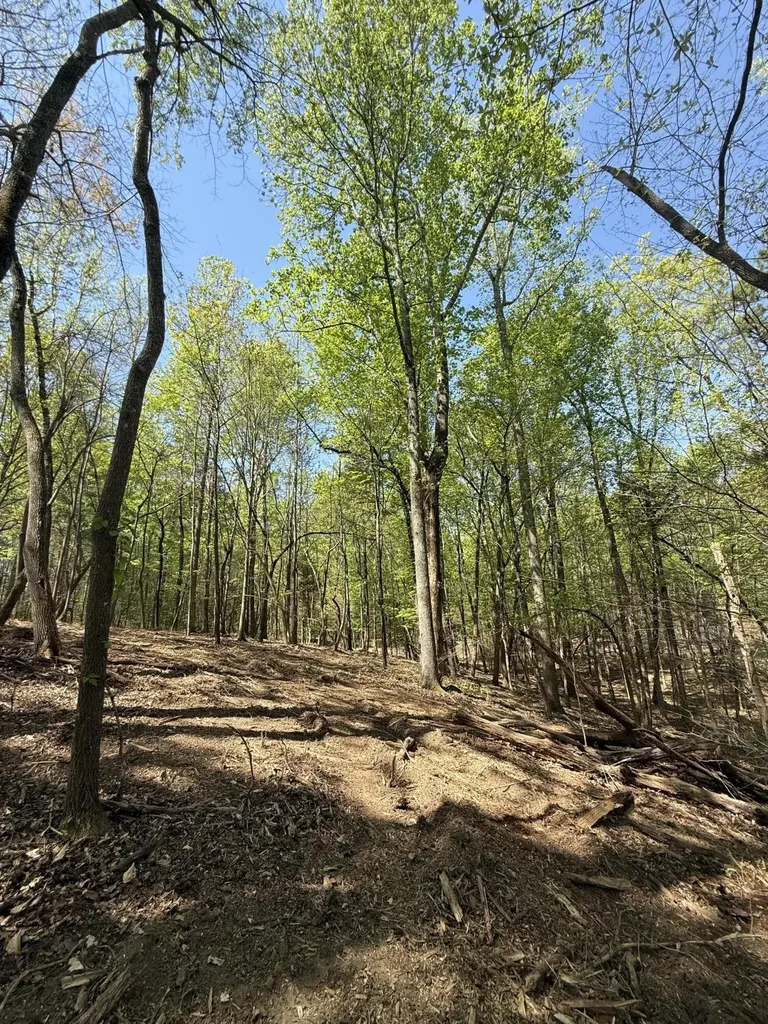 23 Phillips Drive Rockwood TN 37854