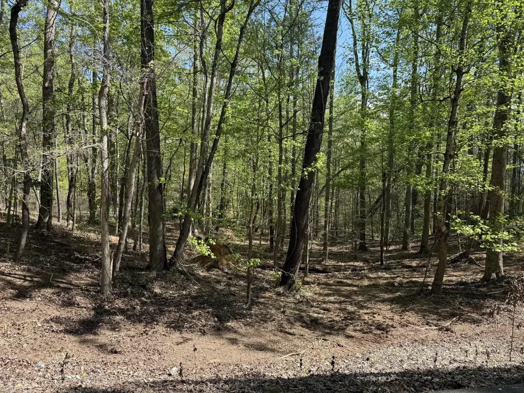 23 Phillips Drive Rockwood TN 37854