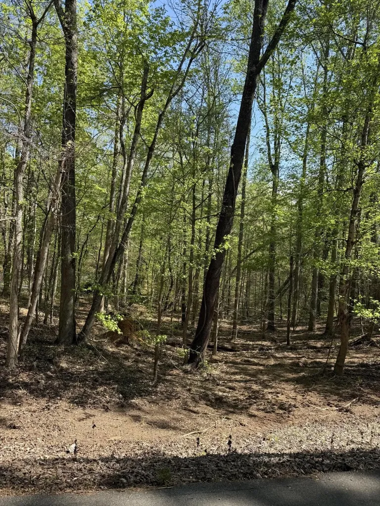 23 Phillips Drive Rockwood TN 37854