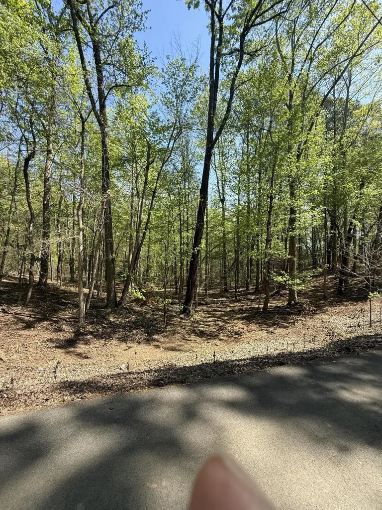 23 Phillips Drive Rockwood TN 37854