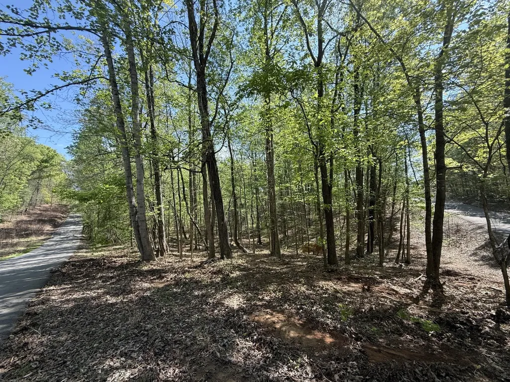 23 Phillips Drive Rockwood TN 37854
