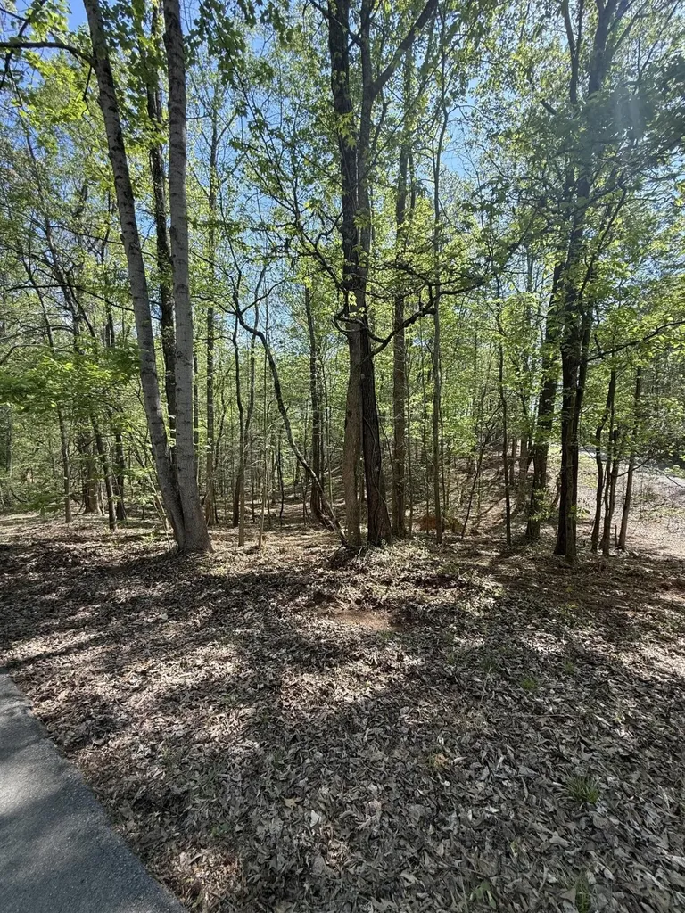 23 Phillips Drive Rockwood TN 37854