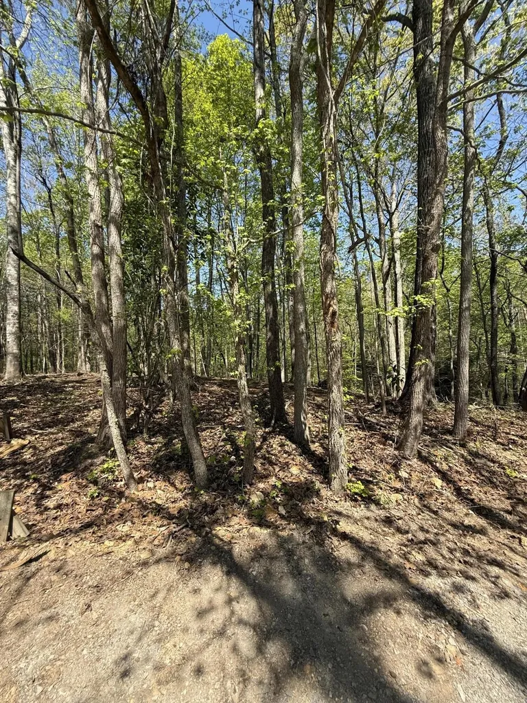 23 Phillips Drive Rockwood TN 37854