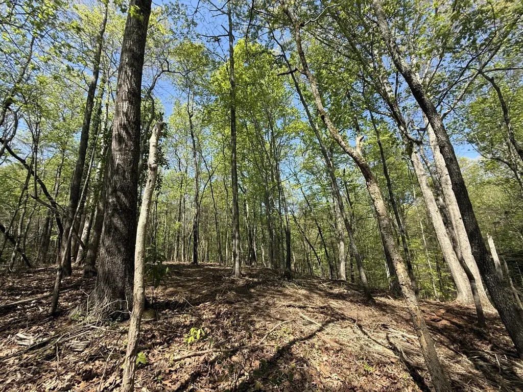 23 Phillips Drive Rockwood TN 37854