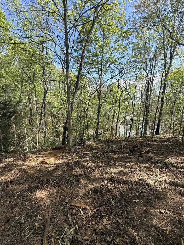 23 Phillips Drive Rockwood TN 37854