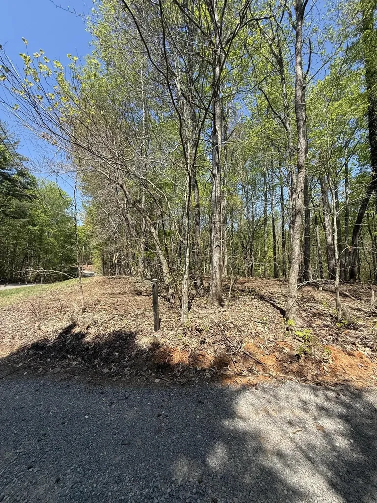 23 Phillips Drive Rockwood TN 37854