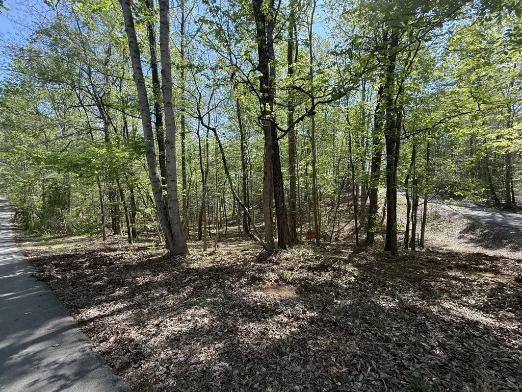 23 Phillips Drive Rockwood TN 37854