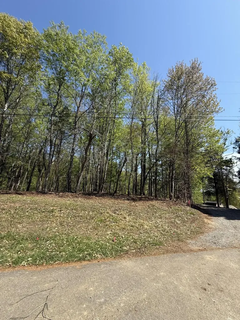 23 Phillips Drive Rockwood TN 37854