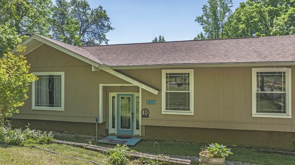 217 Roberts Road Spring City TN 37381