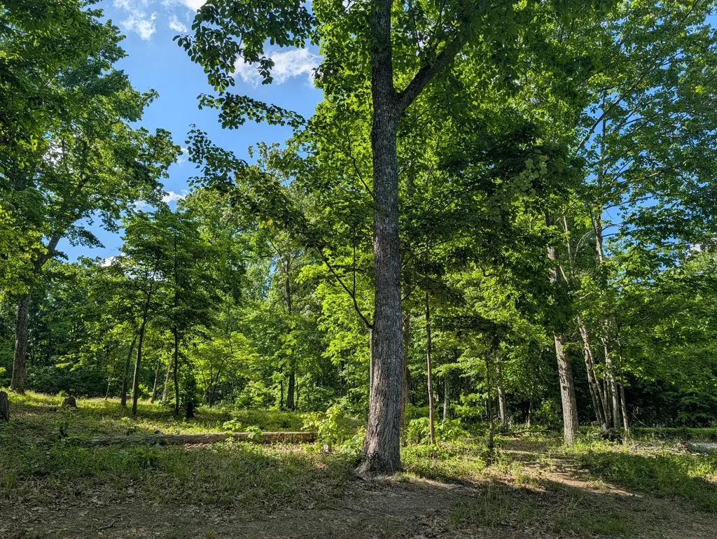 9495 Red Oak Lane Spring City TN 37381