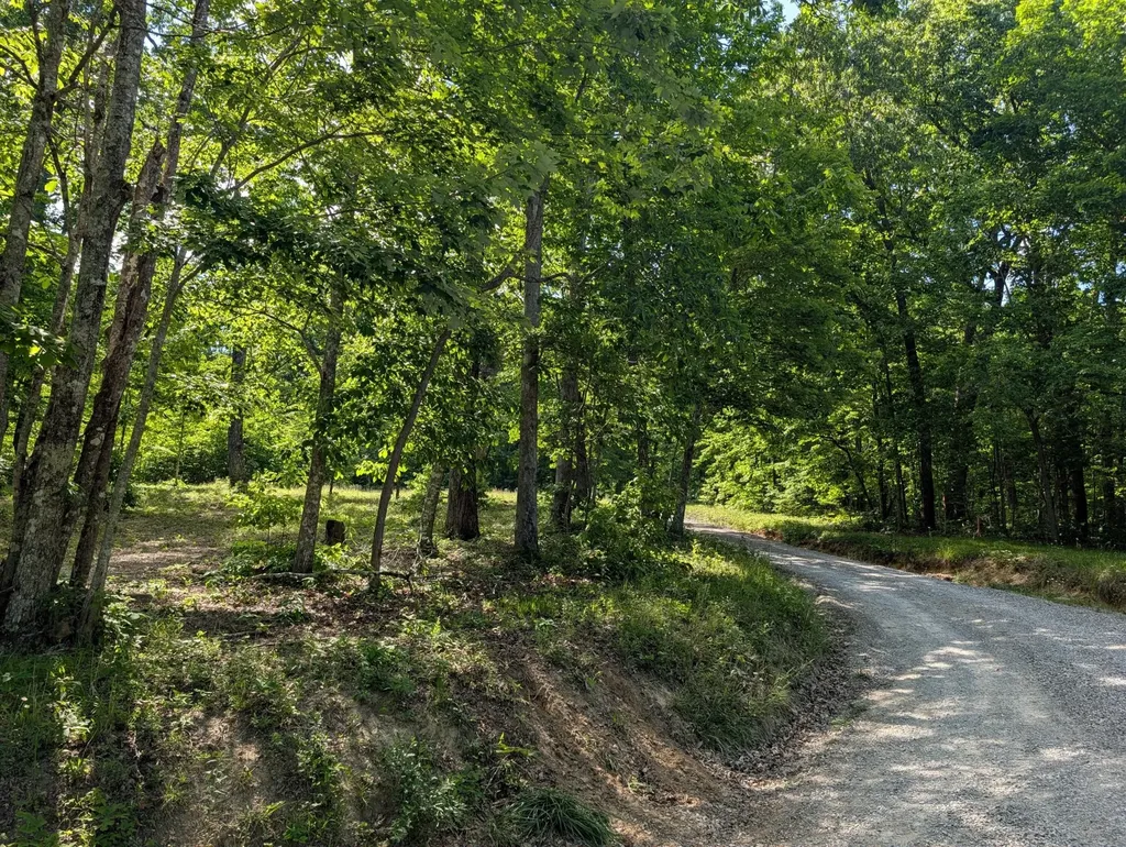9495 Red Oak Lane Spring City TN 37381